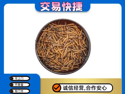 攸县回收散虫草
